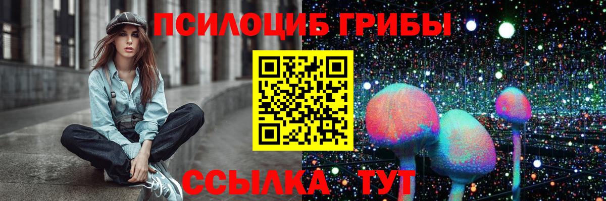 дарнет шоп  Вход с VPN  Кизилюрт  Псилоцибиновые грибы Cubensis 